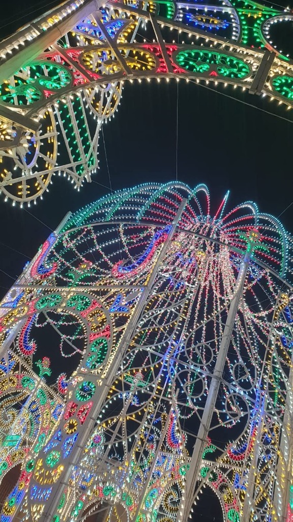 Festa di Sant'Antonio Abate - gall3